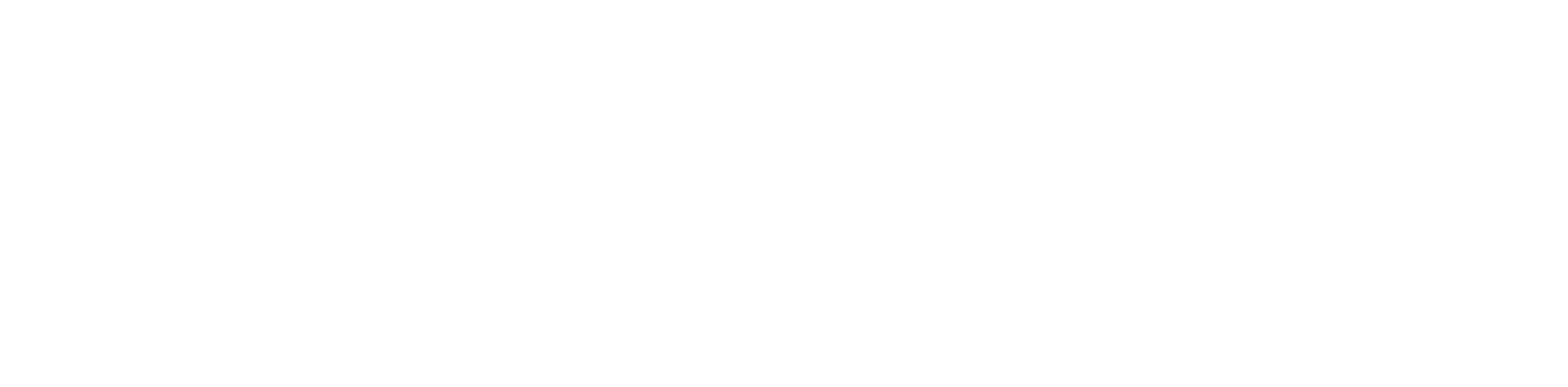 Video SDK logo